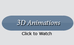 3D Animations